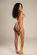 Treviso  Perla 392 1586689 foto 5