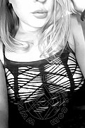 Grosseto  Alissa Love 328 6989006 foto selfie 19