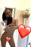 Licola  Alicia Sexy 366 8913860 foto selfie 6